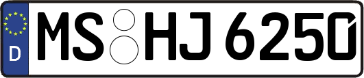 MS-HJ6250