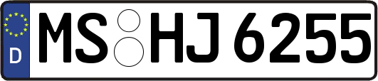 MS-HJ6255