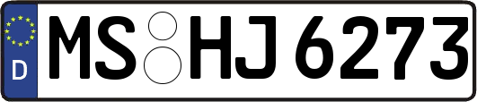 MS-HJ6273