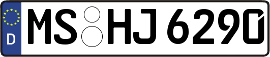 MS-HJ6290