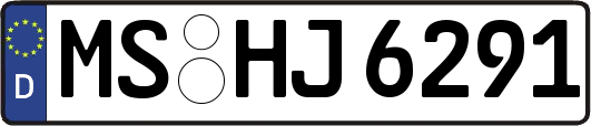 MS-HJ6291