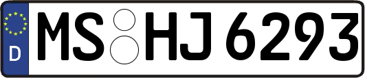 MS-HJ6293