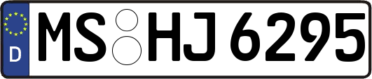 MS-HJ6295