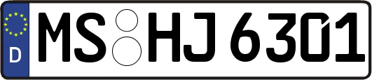 MS-HJ6301