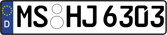 MS-HJ6303
