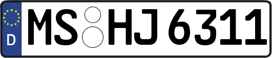 MS-HJ6311