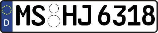 MS-HJ6318