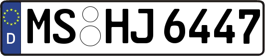 MS-HJ6447