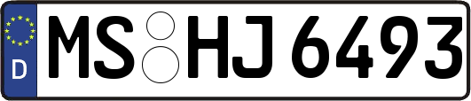 MS-HJ6493