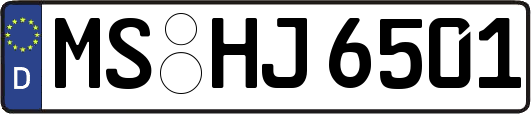 MS-HJ6501
