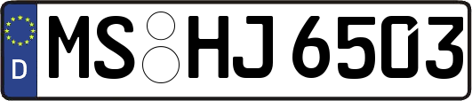 MS-HJ6503