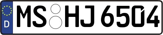 MS-HJ6504