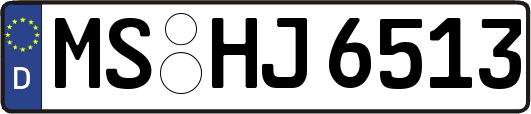 MS-HJ6513