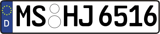 MS-HJ6516