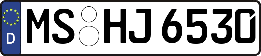 MS-HJ6530