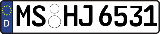 MS-HJ6531