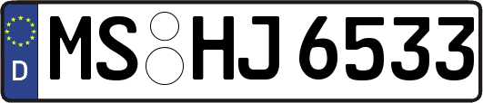 MS-HJ6533