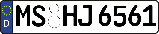 MS-HJ6561