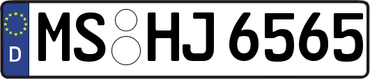 MS-HJ6565