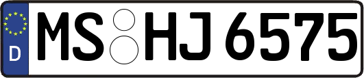 MS-HJ6575