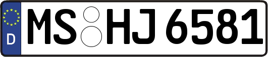 MS-HJ6581