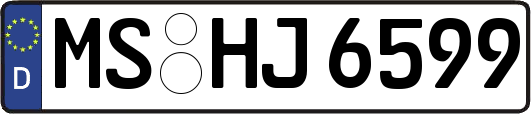 MS-HJ6599