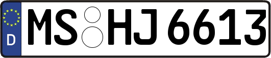 MS-HJ6613