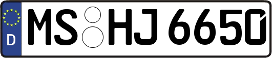 MS-HJ6650