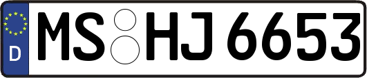 MS-HJ6653