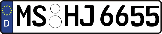 MS-HJ6655