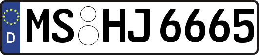 MS-HJ6665