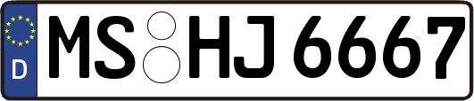 MS-HJ6667
