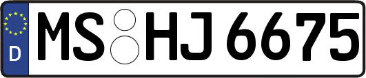 MS-HJ6675