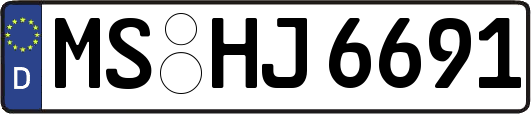 MS-HJ6691