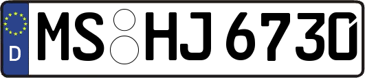 MS-HJ6730