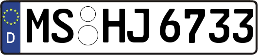 MS-HJ6733