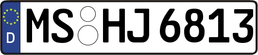 MS-HJ6813