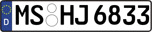 MS-HJ6833
