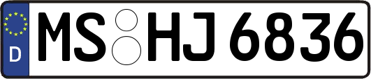 MS-HJ6836
