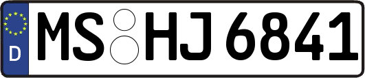 MS-HJ6841