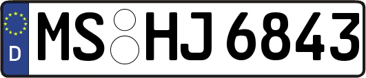 MS-HJ6843