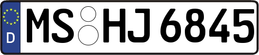 MS-HJ6845