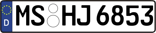 MS-HJ6853
