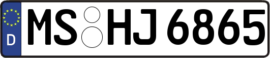 MS-HJ6865