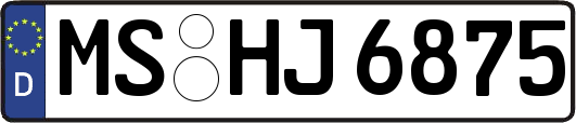 MS-HJ6875