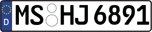 MS-HJ6891