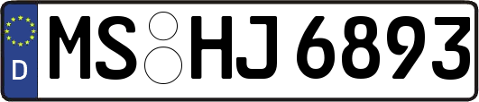 MS-HJ6893