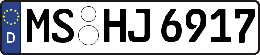 MS-HJ6917