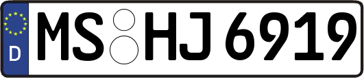 MS-HJ6919