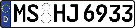 MS-HJ6933